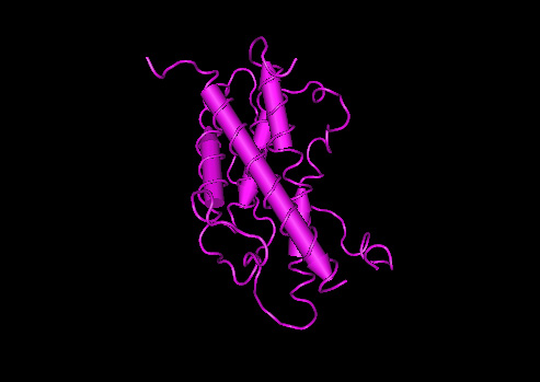 Pink computer generated model of the three dimensional structure of human growth hormone on a black background.