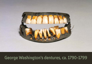 <a href='onlineactivities03.html'>3. George Washington’s dentures, ca. 1790–1799</a><h4>George Washington’s dentures, ca. 1790–1799</h4><h5><em>Courtesy Mount Vernon Ladies’ Association</em></h5><p>Over the course of his life, George Washington wore many partial and full dentures made from materials such as ivory, animal and human teeth. This full-set dentures that Washington wore are constructed of lead (base), human teeth, cow teeth, and elephant ivory, brass wires, and steel springs.</p>