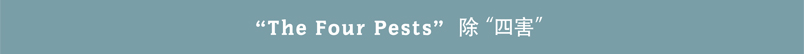 The Four Pests banner
