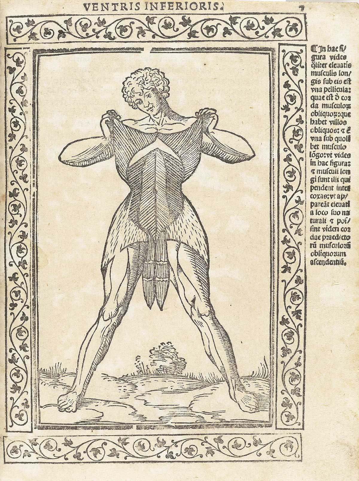 Woodcut of male anatomical figure raising the skin to give a view of his oblique and abdominal muscles, with a woodcut border and text in Latin on the right side of page, from Berengario da Carpi’s Isagogae breues, Bologna, 1523, NLM Call no. WZ 240 B488i 1523.
