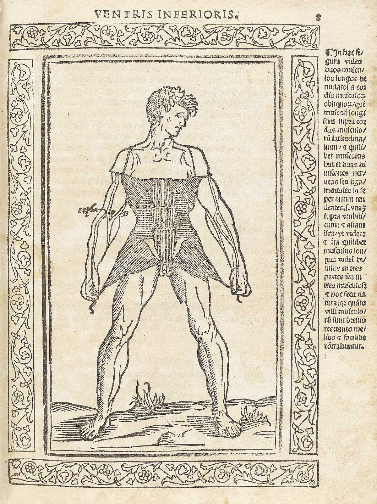 Woodcut of male anatomical figure raising the skin to give a view of his oblique, abdominal, and arm muscles, with a woodcut border and text in Latin on the left side of page, from Berengario da Carpi’s Isagogae breues, Bologna, 1523, NLM Call no. WZ 240 B488i 1523.