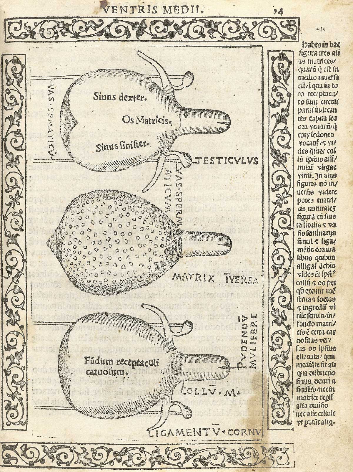 Three woodcuts of the uterus showing the anatomy of the uterus and ovaries, including the exterior of the uterus and the interior, the cervix, and the vagina; with a woodcut border and text in Latin on the right side of page, from Berengario da Carpi’s Isagogae breues, Bologna, 1523, NLM Call no. WZ 240 B488i 1523.