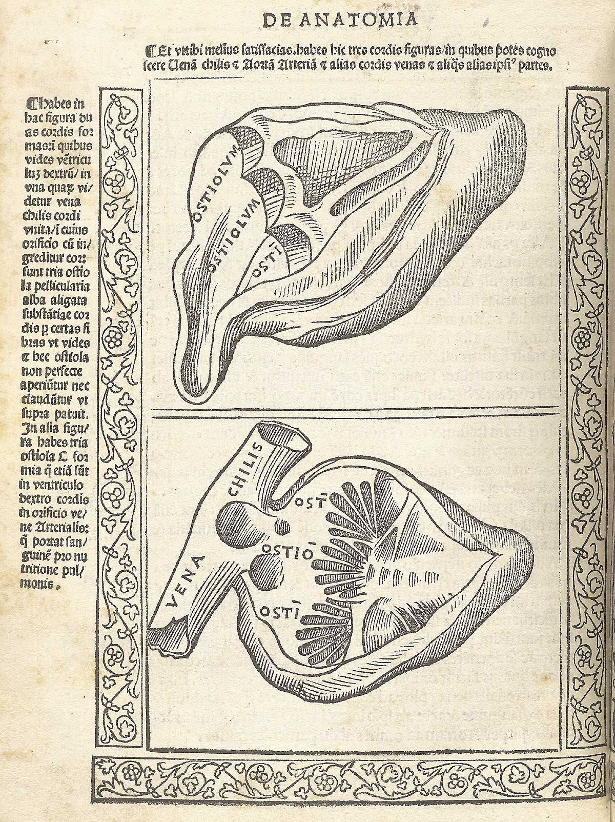 Two woodcuts of the heart (one above the other) in cross section showing the ventricles and large veins entering the organ; with a woodcut border and text in Latin on the left side of page, from Berengario da Carpi’s Isagogae breues, Bologna, 1523, NLM Call no. WZ 240 B488i 1523.