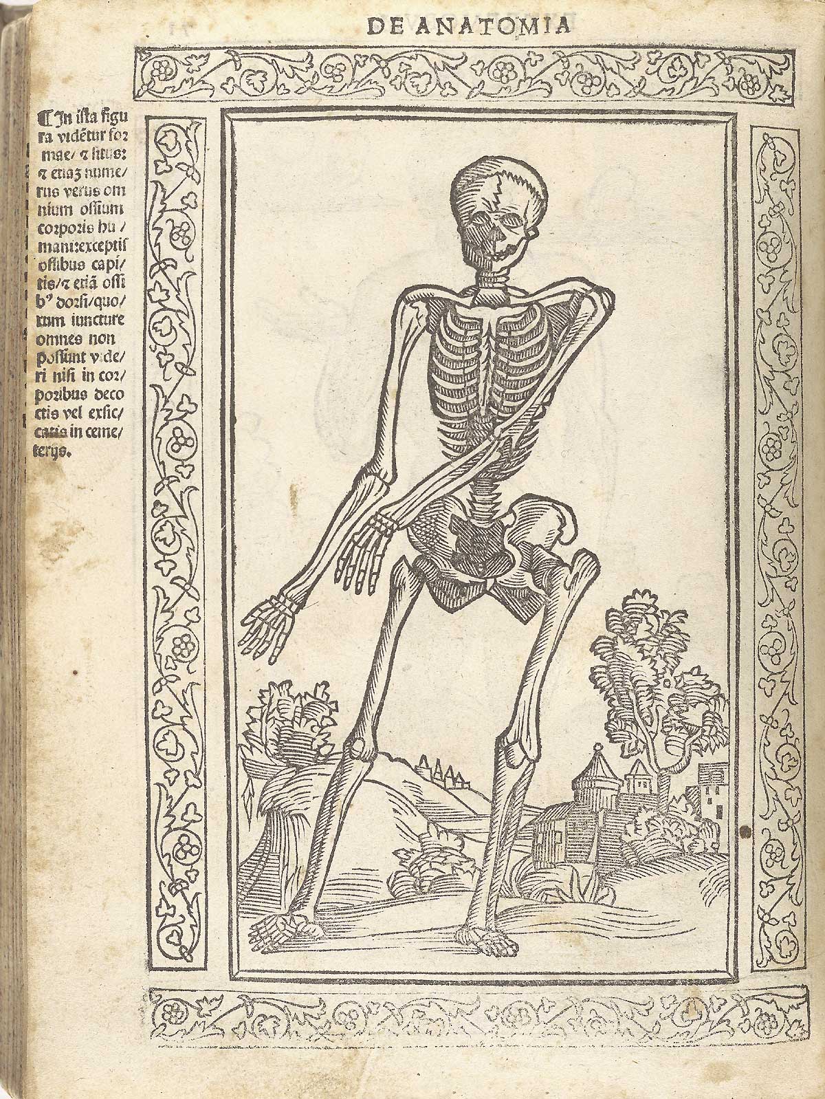 Woodcut skeleton figure, facing, with arms stretched down to the left, as if dancing, in a pastoral setting; with a woodcut border and text in Latin on the left side of page, from Berengario da Carpi’s Isagogae breues, Bologna, 1523, NLM Call no. WZ 240 B488i 1523.