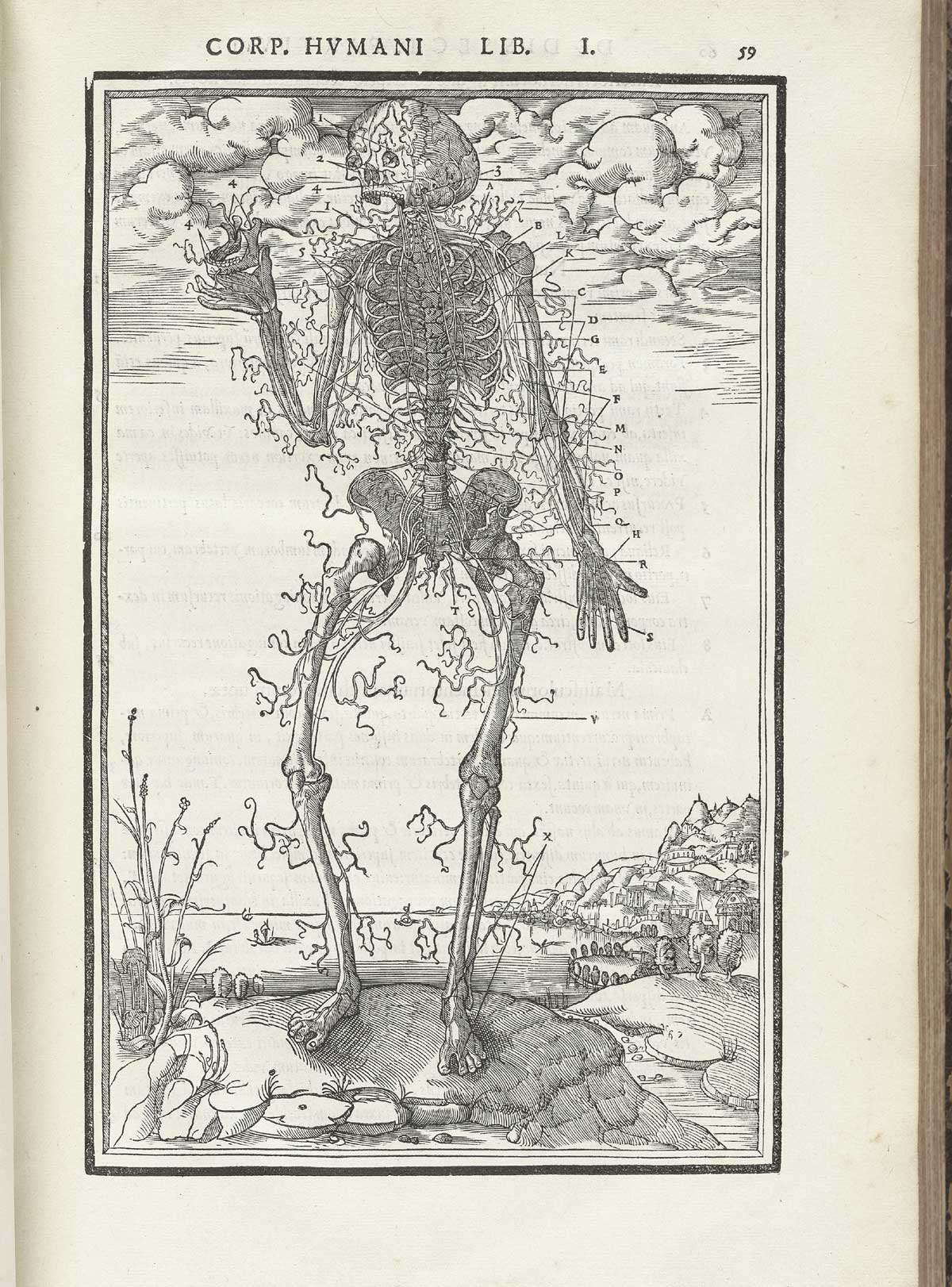 Woodcut skeleton figure standing on a marble column base in a pastoral setting, facing the viewer, with index letters surrounding him pointing to numerous bone structures, from Charles Estienne’s De dissection partium corporis humani libri tres, NLM Call no.: WZ 240 E81dd 1545.