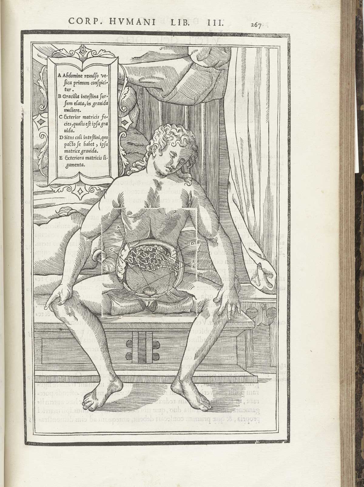 Woodcut of a facing pregnant female figure seated on the cabinet at the end of a bed with layers of flesh removed from the abdomen to reveal the uterus and other internal reproductive organs; the woman has long flowing hair and is facing the viewer with legs spread open and hand on her knees; a tablet giving text in Latin about the indicated body parts hangs above and to the left of the figure; from Charles Estienne’s De dissection partium corporis humani libri tres, NLM Call no.: WZ 240 E81dd 1545.