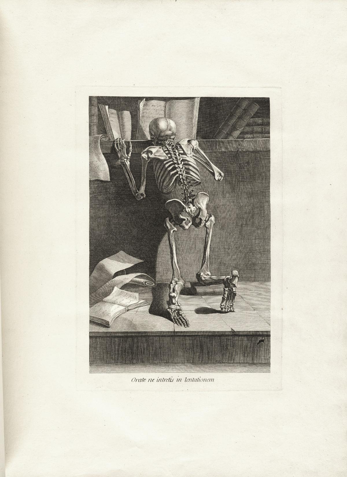 Engraving of a skeleton with his back to the viewer kneeling forward reading a book, from Jacques Gamelin’s Nouveau recueil d’osteologie et de myologie, NLM Call no.: WZ 260 G178m 1779.