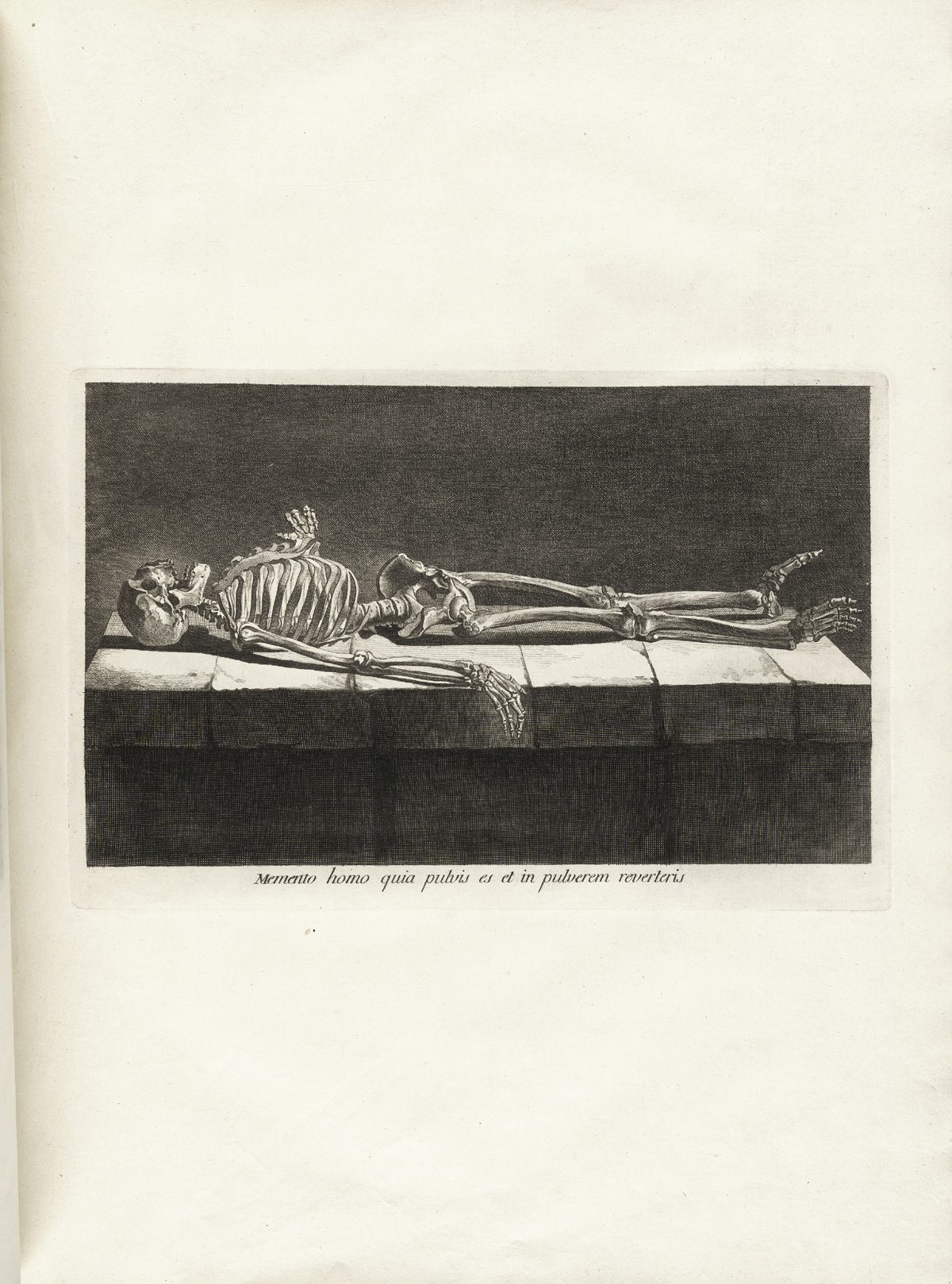 Engraving of a skeleton lying down on a slab of marble as if in a sepulcher, viewed from the side, from Jacques Gamelin’s Nouveau recueil d’osteologie et de myologie, NLM Call no.: WZ 260 G178m 1779.