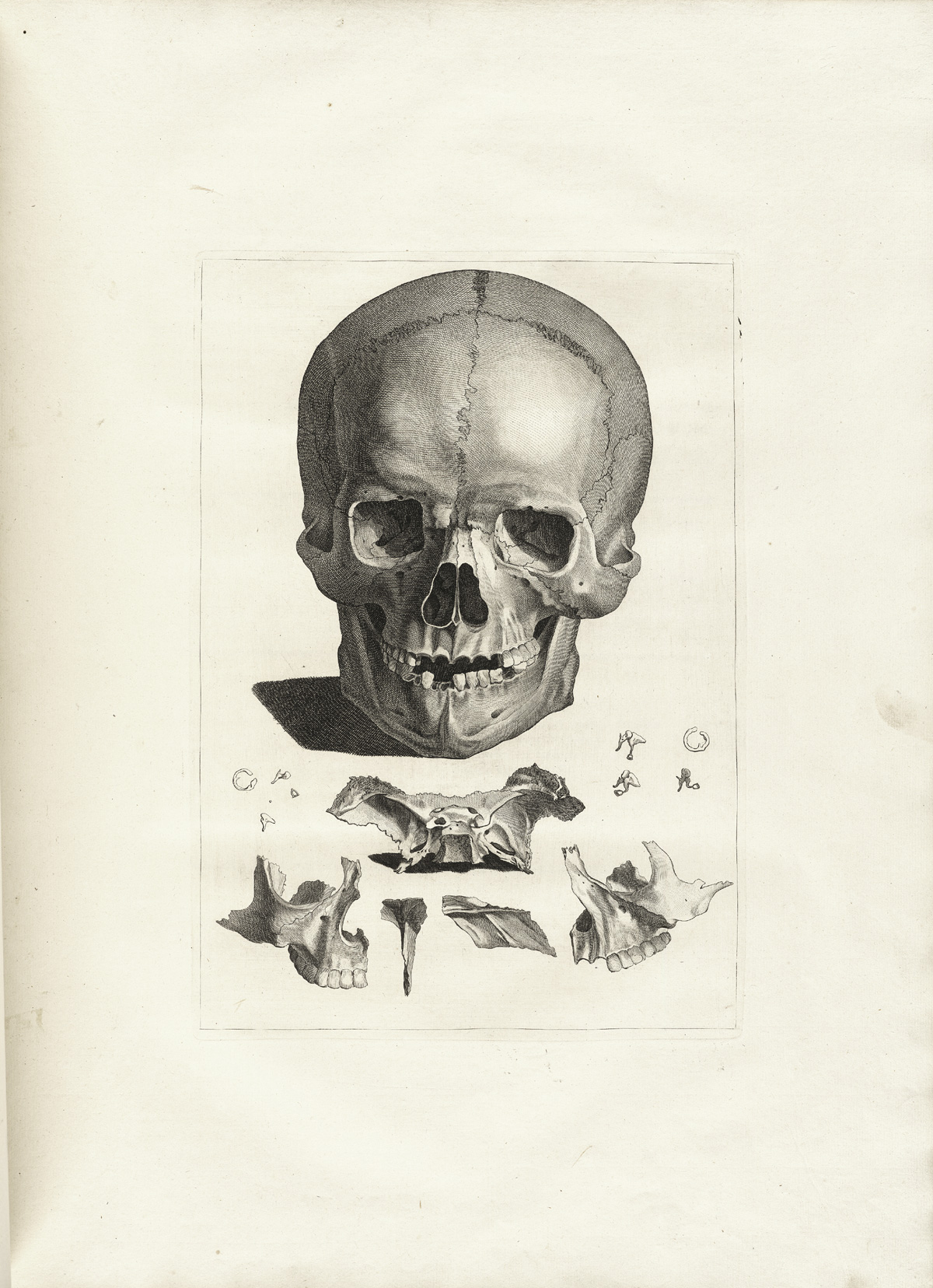 Engraving of a skull viewed from the front in the upper three quarters of the page with smaller bones scattered beneath, including the sphenoid bone viewed from behind in the middle, bones of the inner ear, and a view of the maxilla from inside and out, and the nasal bones; from Jacques Gamelin’s Nouveau recueil d’osteologie et de myologie, NLM Call no.: WZ 260 G178m 1779.