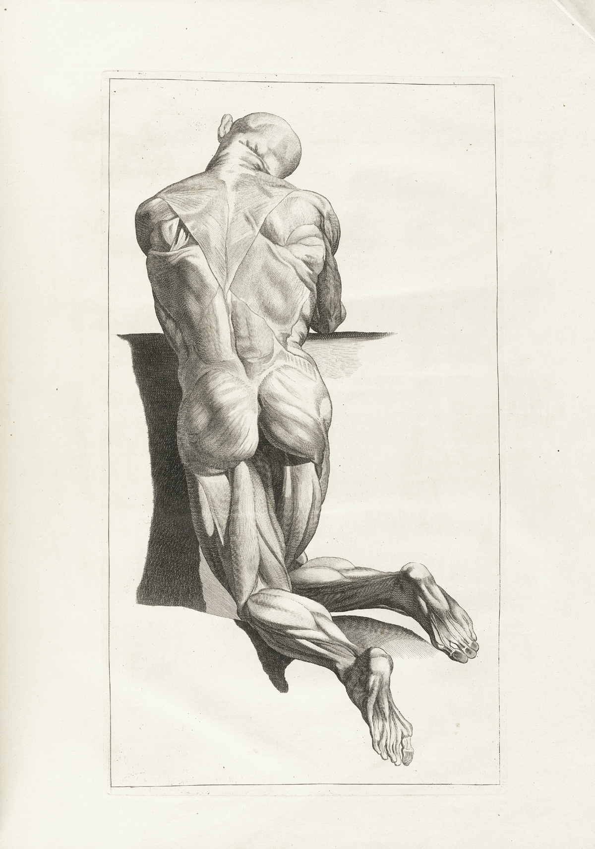 Engraving of a kneeling male muscle figure viewed from behind, showing the muscles of the back, buttocks, and legs, from Jacques Gamelin’s Nouveau recueil d’osteologie et de myologie, NLM Call no.: WZ 260 G178m 1779.