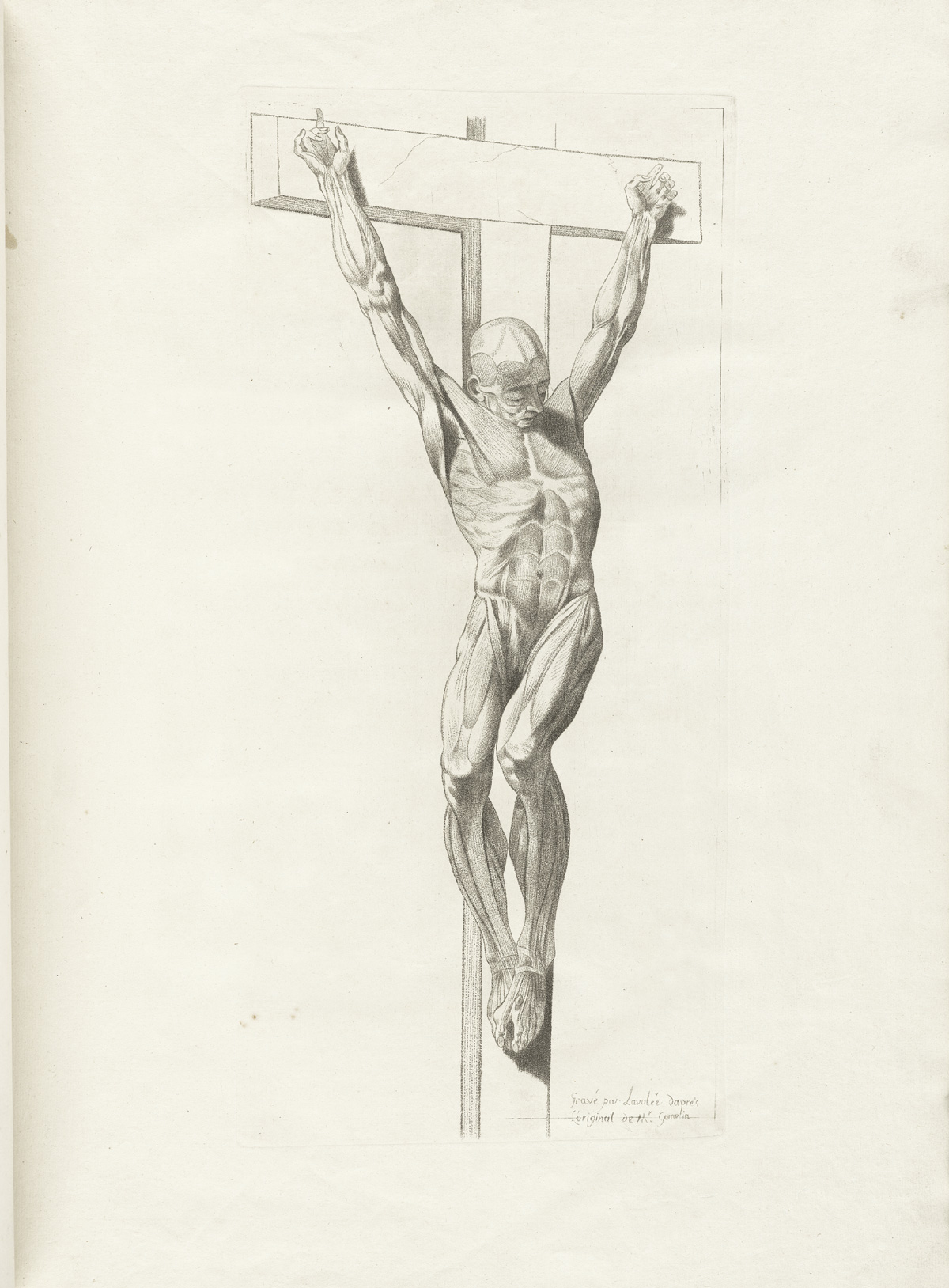 Engraving of a facing nude male muscle figure nailed to a crucifix with skin removed in order to show detailed views of the muscles of the chest, abdomen, arms and legs; from Jacques Gamelin’s Nouveau recueil d’osteologie et de myologie, NLM Call no.: WZ 260 G178m 1779.