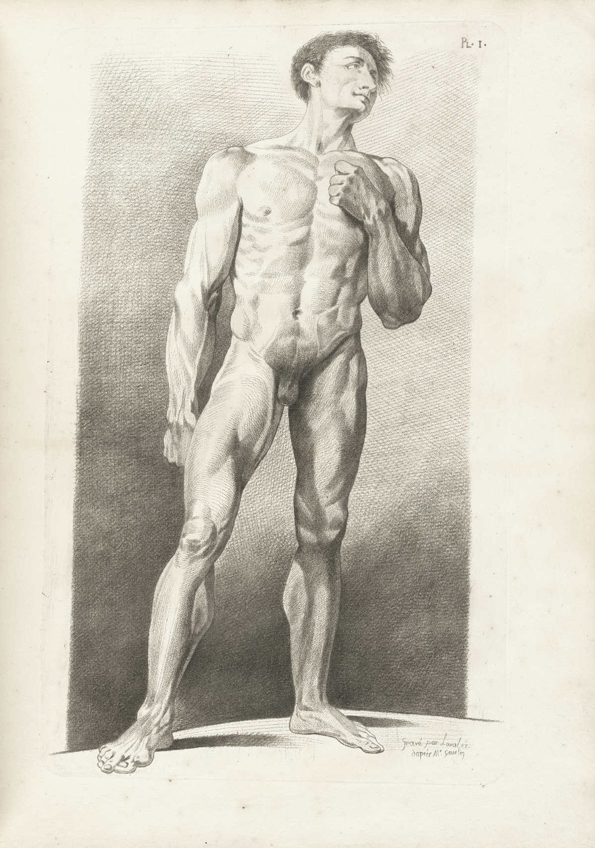 Engraving of a facing, standing male nude figure with detail of the musculature of the chest, torso, arms and legs; his left arm is bent up at the elbow with his hand on his left pectoral muscle, and he looks off slightly to the right of the page; from Jacques Gamelin’s Nouveau recueil d’osteologie et de myologie, NLM Call no.: WZ 260 G178m 1779.