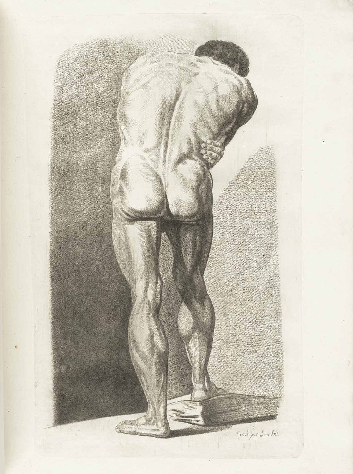 Engraving of a standing nude male figure with his back to the viewer, with detail of the musculature of the back, buttocks and legs; from Jacques Gamelin’s Nouveau recueil d’osteologie et de myologie, NLM Call no.: WZ 260 G178m 1779.