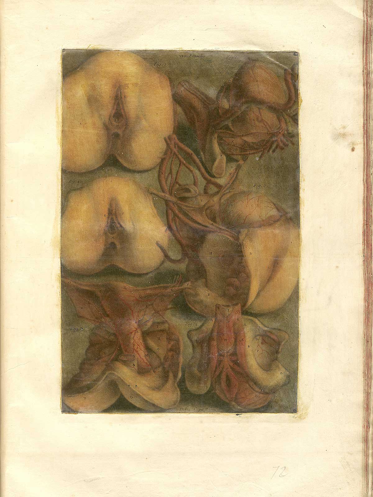Color mezzotint of six figures showing the female reproductive system; on the left from top to bottom are two images of the female genitalia and at bottom a view of the uterus and vagina from the interior; on the right fromtop to bottom are other interior views from varying angles; from Jacques Fabian Gautier d’Agoty’s Anatomie générale des viscères en situation, NLM Call no.: WZ 260 G283c 1745.