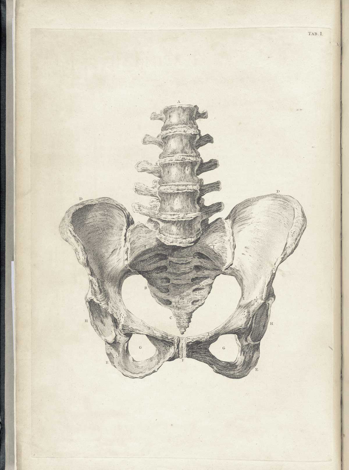 Table 1 of William Smellie's A sett of anatomical tables, with explanations, and an abridgment, of the practice of midwifery, featuring the illustrated drawing of the lower spine and pelvis.