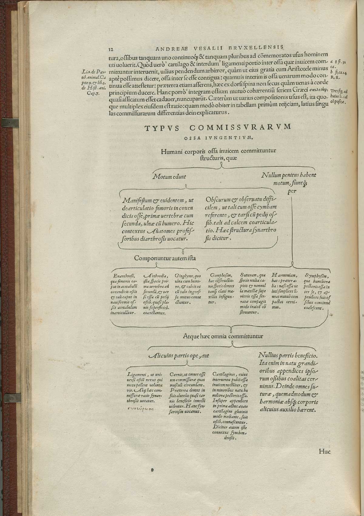 Page 12 of Andreas Vesalius' De corporis humani fabrica libri septem, featuring the types of bone structions.