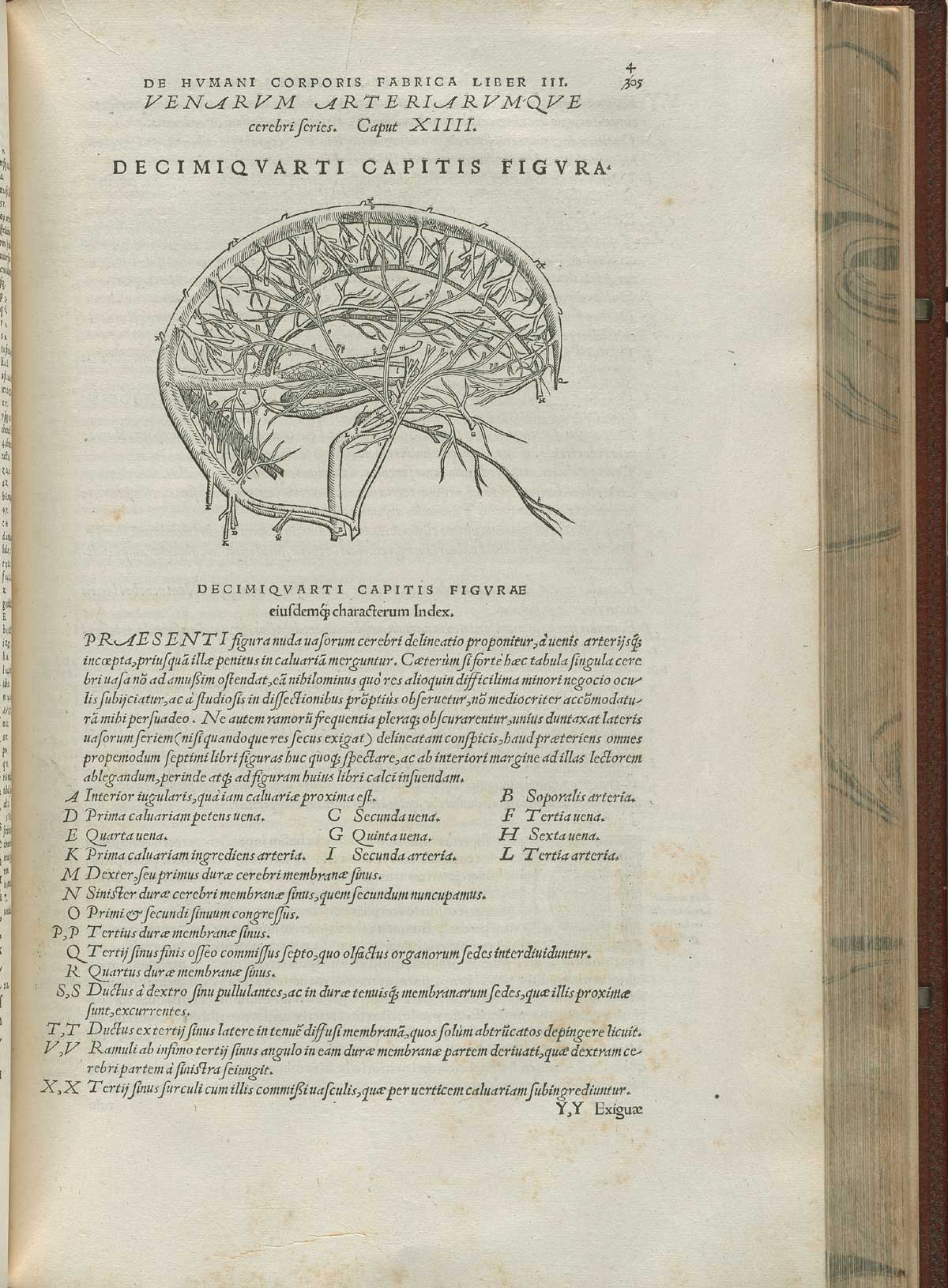 Page 405 of Andreas Vesalius' De corporis humani fabrica libri septem, featuring the illustrated woodcut of the cerebral veins.