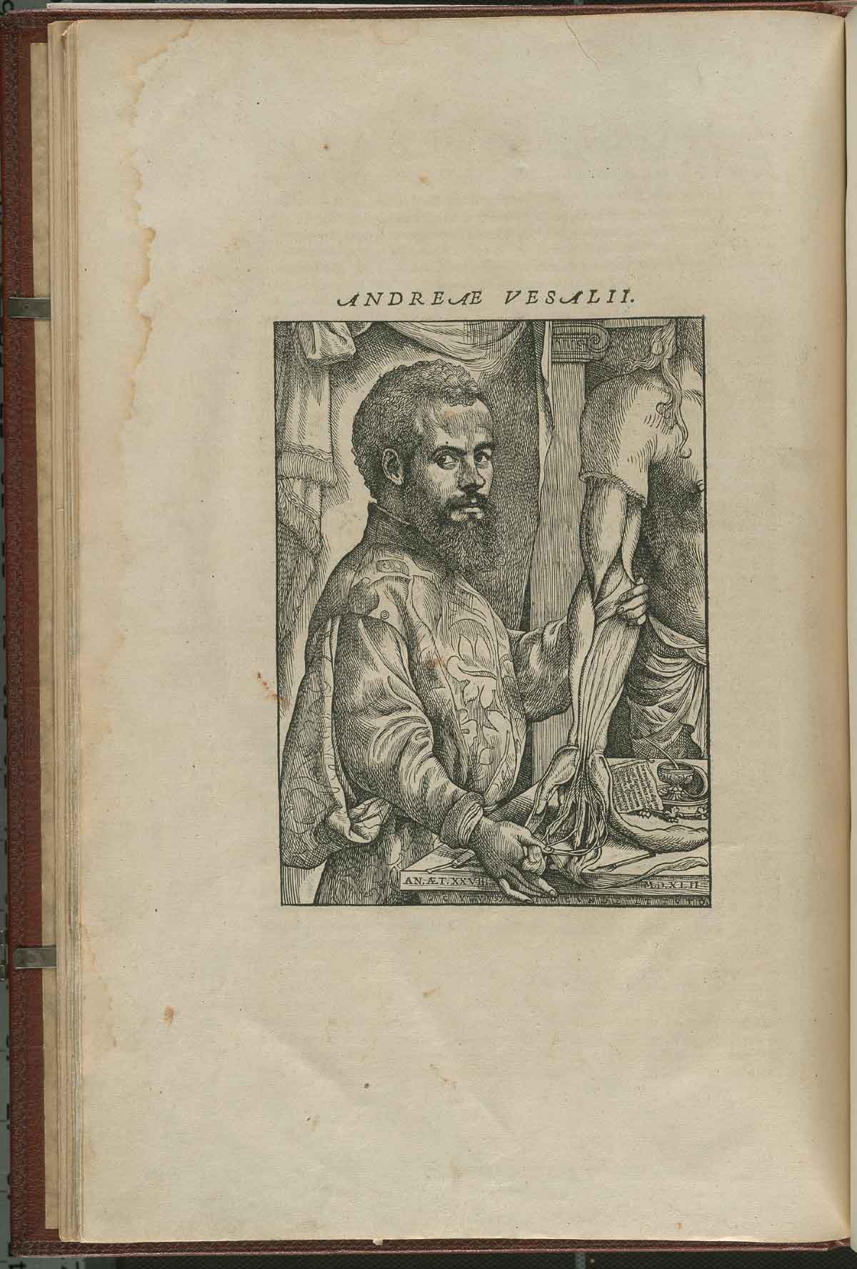 Portrait of Andreas Vesalius' De corporis humani fabrica libri septem, featuring Vesalius standing right pose, face towards front holding the arm of a dissected corpse.