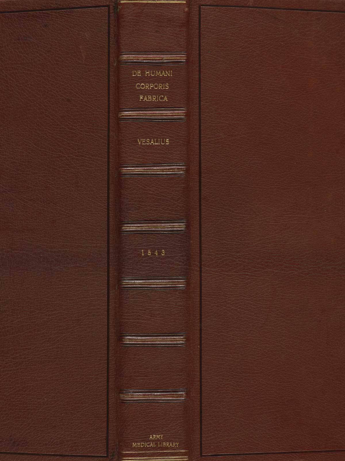The spine of Andreas Vesalius' De corporis humani fabrica libri septem.