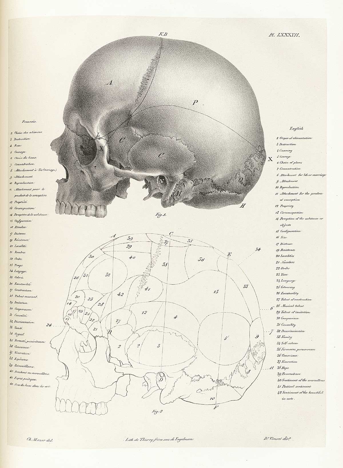 Table 87 of Joseph Vimont's Traité de phrénologie humaine et comparée, featuring the side view of two skulls depicting the brain localization.