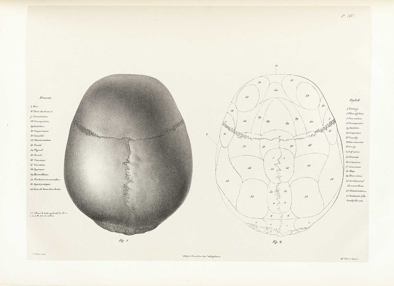 Table 90 of Joseph Vimont's Traité de phrénologie humaine et comparée, featuring the top view of two skulls.