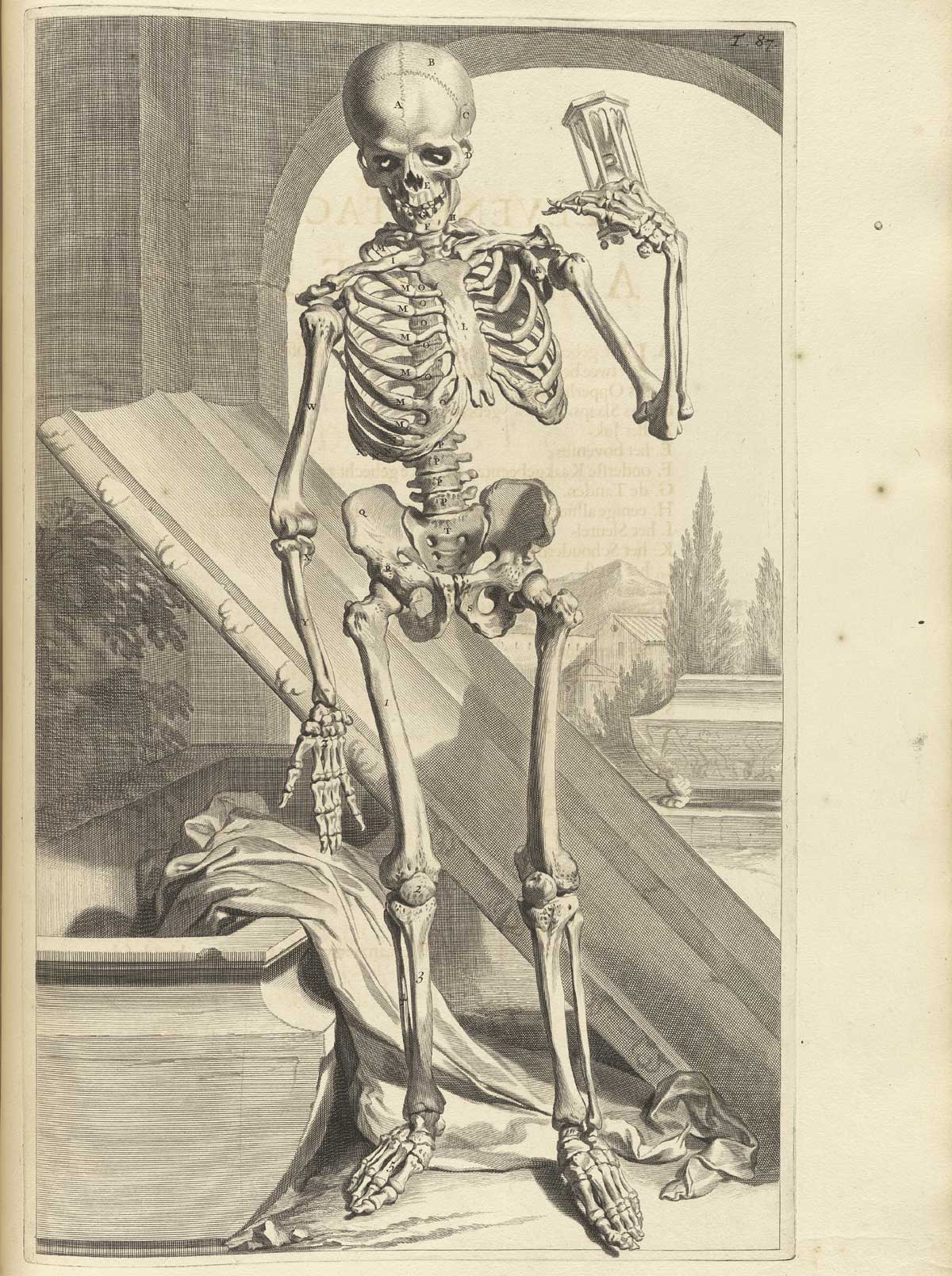 Engraving of a “memento mori” scene of a standing facing skeleton holding an hourglass in his left hand up in the air with an opened coffin behind him with a loose shroud tumbling out; Classical ruins are shown in the back with a wisp of a pastoral scene; from Govard Bidloo’s Ontleding Des Menschelyken Lichaams, Amsterdam, 1690, NLM Call no. WZ 250 B5855anDu 1690.