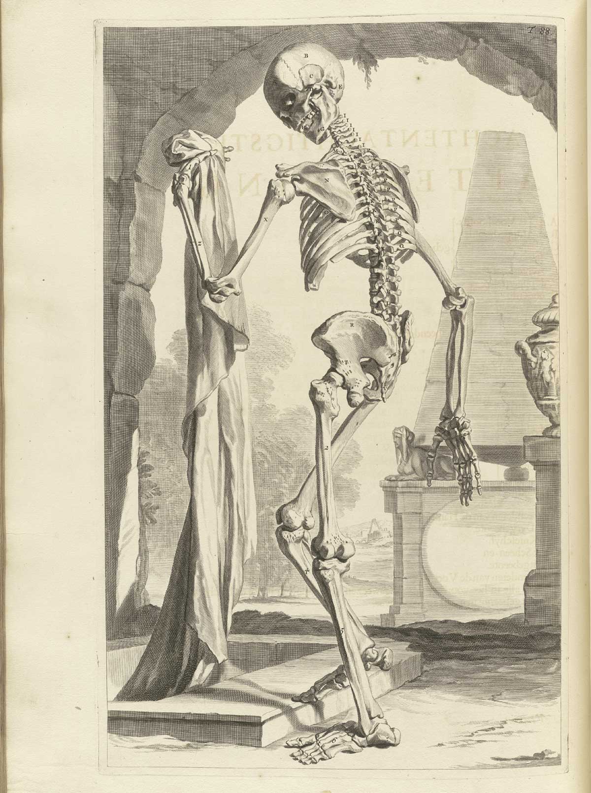 Engraving of a “memento mori” scene of a standing skeleton with its back to the viewer holding a slowing shroud in his left hand up in the air as it tumbles into a crypt from which he is emerging or descending; Classical ruins are shown in the background including an urn and what may be a temple; from Govard Bidloo’s Ontleding Des Menschelyken Lichaams, Amsterdam, 1690, NLM Call no. WZ 250 B5855anDu 1690.