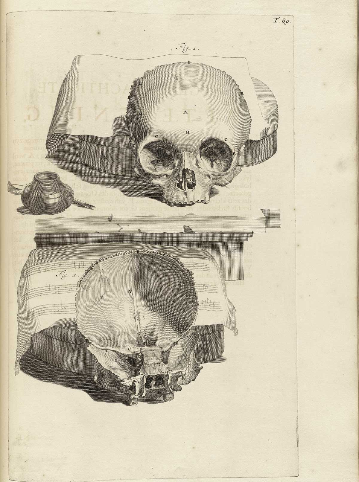 Engraving of a “memento mori” scene of two skull fragments: the first is the frontal bone and maxilla of the skull including forehead, eye sockets, nasal cavities, and upper jaw, facing toward the viewer on top of a writing tablet with a loose sheet of paper behind the skull and an inkwell and pen to the left; in the lower half of the image is the back (parietal bone) of the skull viewed from the inside, including impressions of blood vessels, leaning back against a writing tablet with a manuscript leaf of music laying loose underneath the bones; from Govard Bidloo’s Ontleding Des Menschelyken Lichaams, Amsterdam, 1690, NLM Call no. WZ 250 B5855anDu 1690.