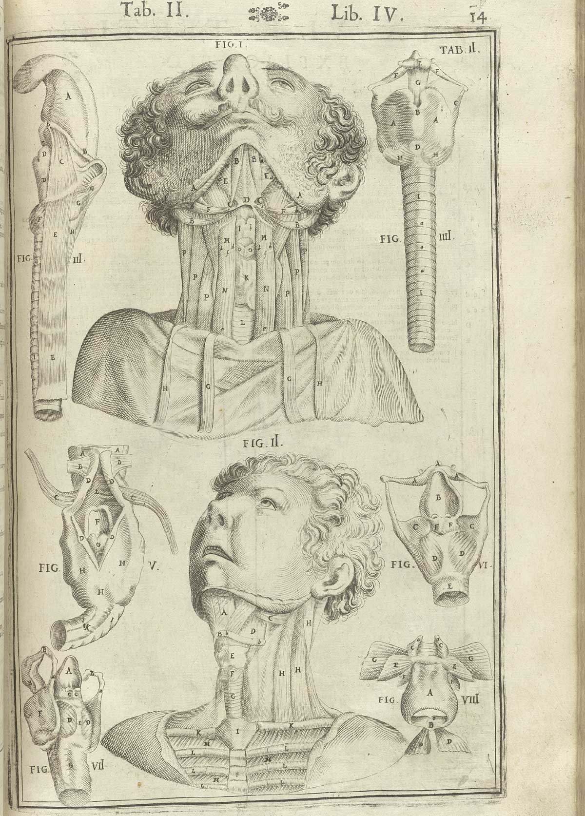 Engraving of two men with the inner structures of their necks exposed, one above the other, with separate details on the sides of the trachea from several different angles, from Adriaan van de Spiegel and Giulio Cassieri’s De humani corporis fabrica libri decem, Venice, 1627, NLM call no. WZ 250 S755dh 1627.
