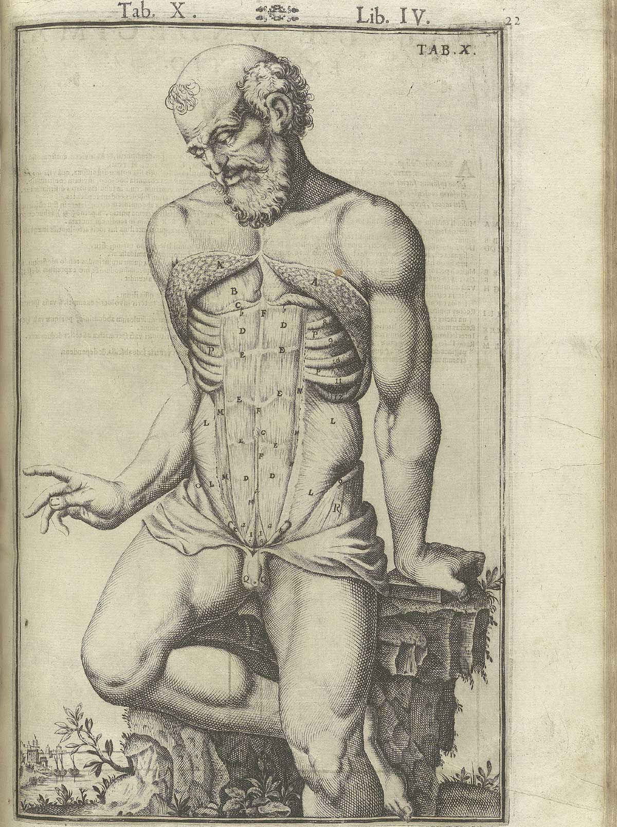 Engraving showing a nude bearded male anatomical figure in a pastoral setting seated on a tree stump facing forward and to the left with flayed abdomen revealing musculature beneath; from Adriaan van de Spiegel and Giulio Cassieri’s De humani corporis fabrica libri decem, Venice, 1627, NLM call no. WZ 250 S755dh 1627.