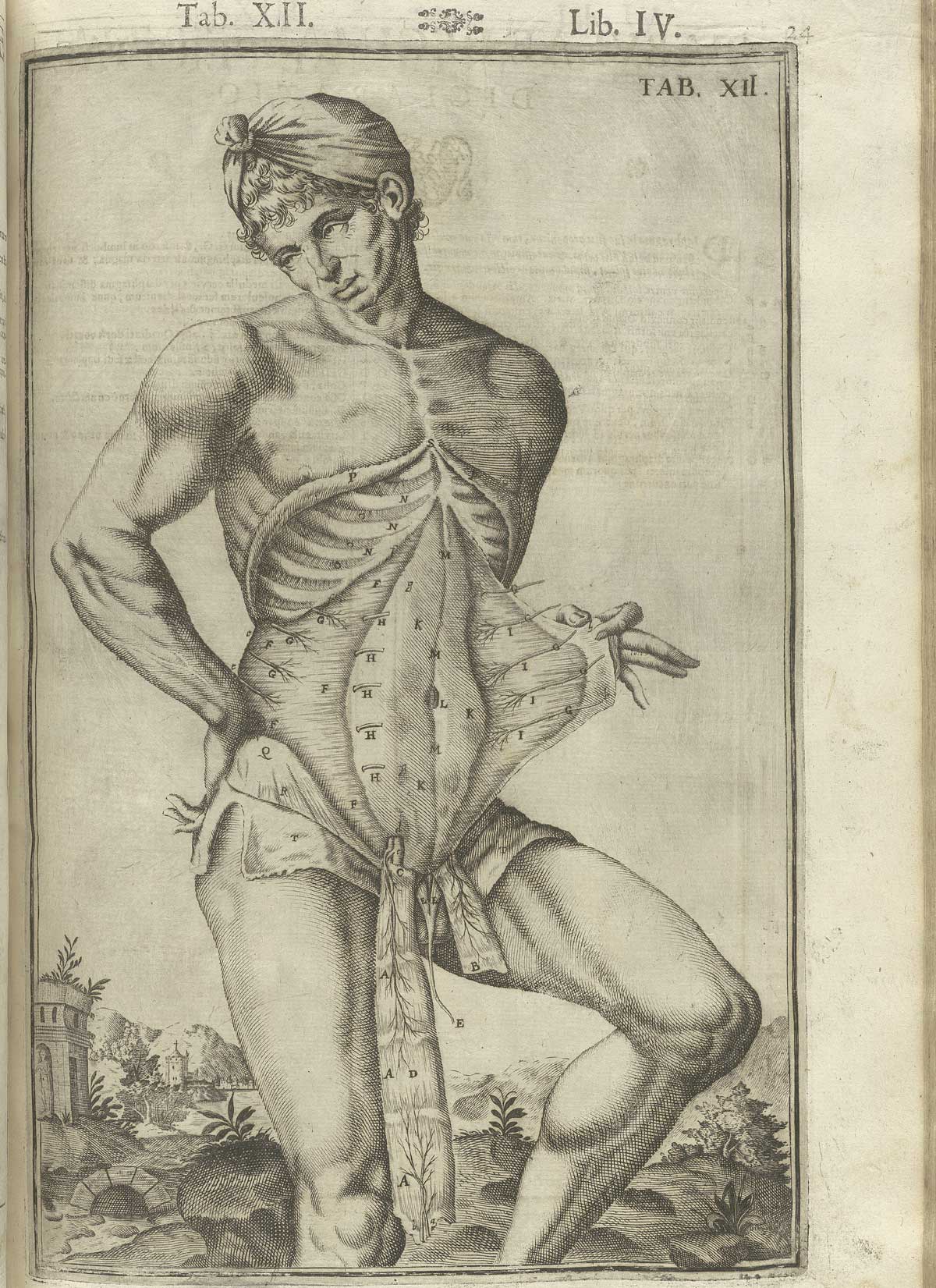 Engraving showing a nude male anatomical figure with head covered in a kerchief in a pastoral setting facing forward and to the left with flayed abdomen revealing musculature beneath; from Adriaan van de Spiegel and Giulio Cassieri’s De humani corporis fabrica libri decem, Venice, 1627, NLM call no. WZ 250 S755dh 1627.
