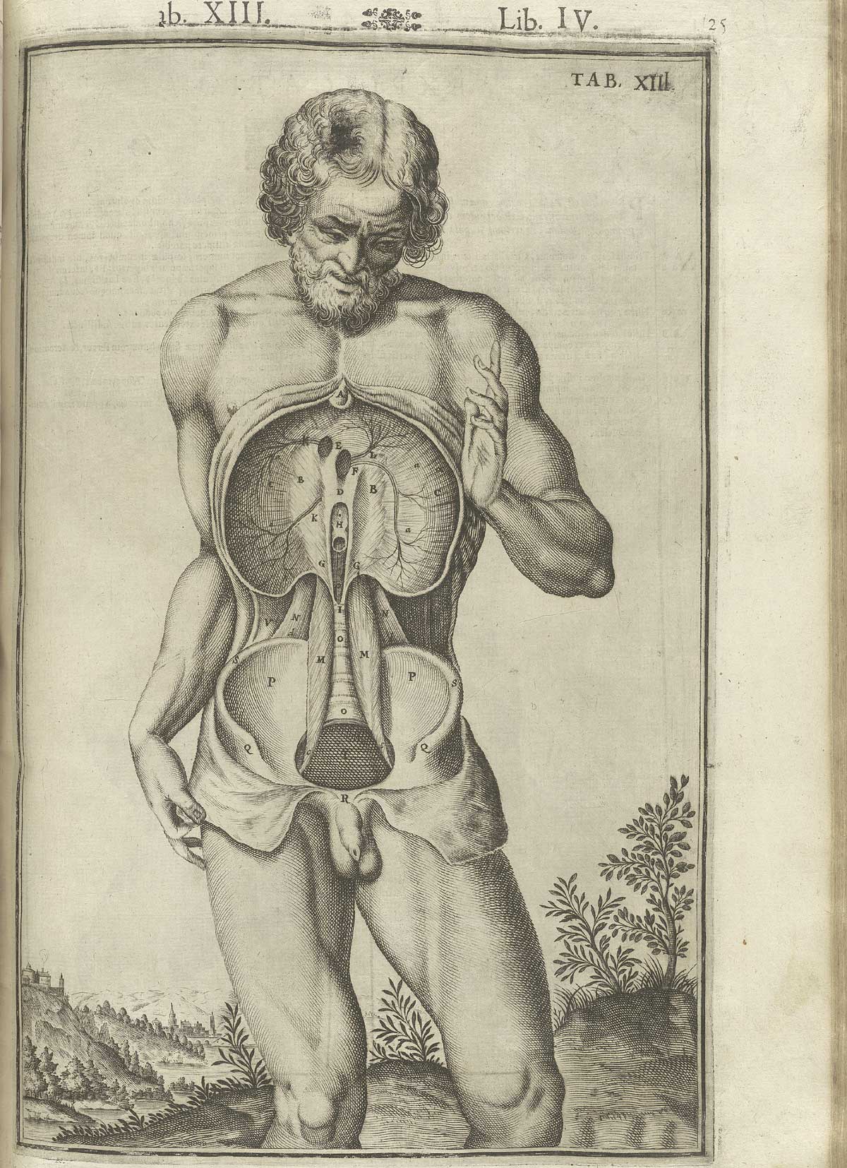 Engraving showing a nude bearded male anatomical figure in a pastoral setting facing forward with flayed abdomen emptied of its internal organs revealing the diaphragm below and the top of the pelvis; from Adriaan van de Spiegel and Giulio Cassieri’s De humani corporis fabrica libri decem, Venice, 1627, NLM call no. WZ 250 S755dh 1627.