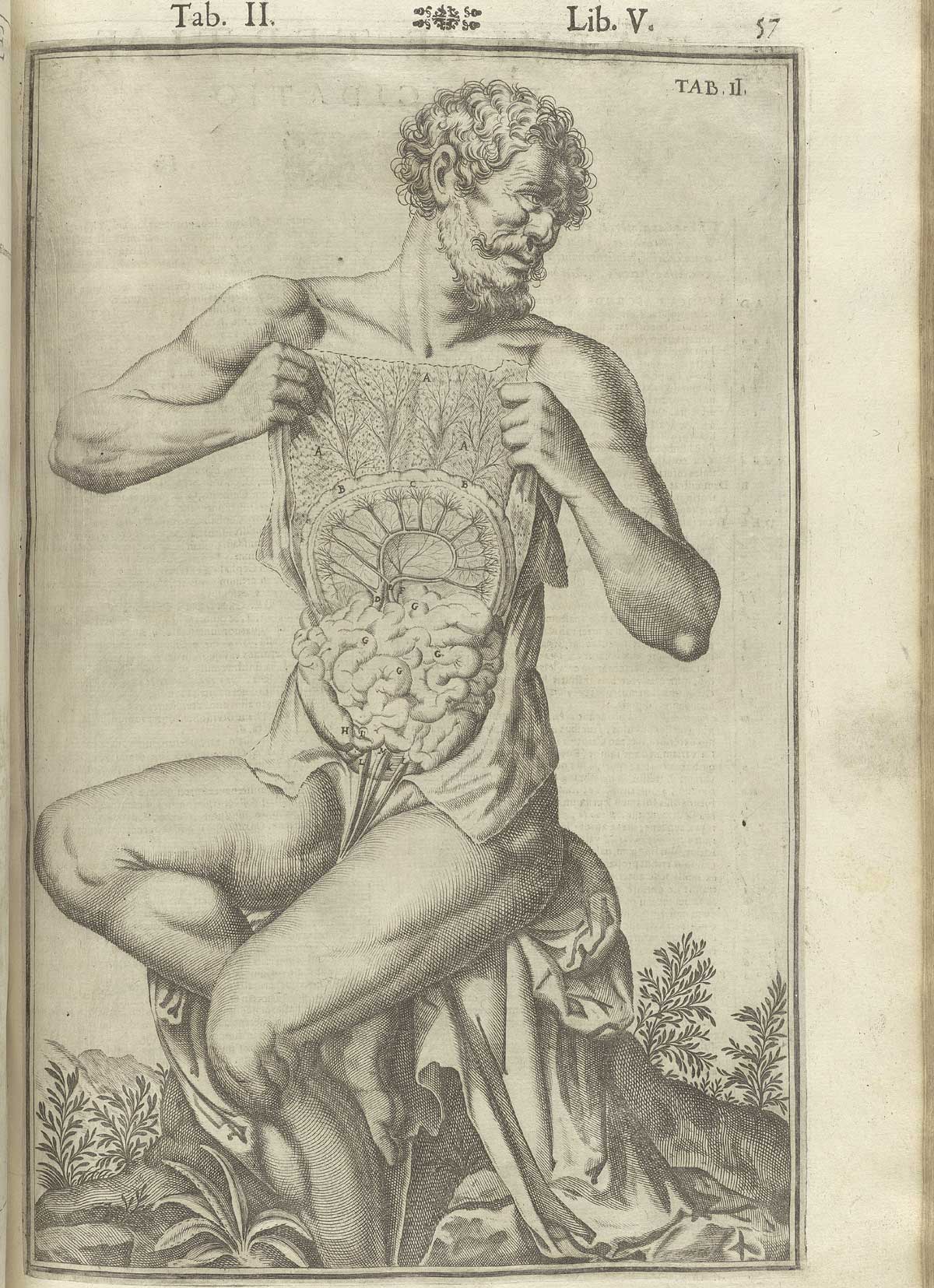 Engraving showing a frontal view of a nude bearded male anatomical figure seated on a tree stump with face turned to the right in a pastoral setting, with his abdomen cut open showing the peritoneum and intestines exposed in detail; from Adriaan van de Spiegel and Giulio Cassieri’s De humani corporis fabrica libri decem, Venice, 1627, NLM call no. WZ 250 S755dh 1627.