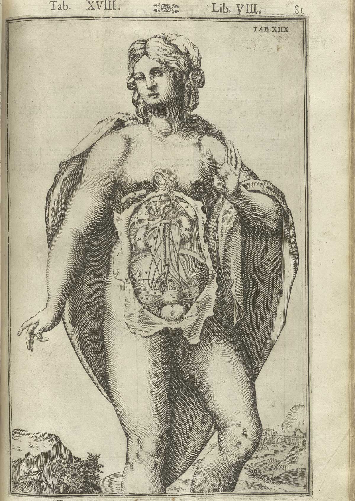 Engraving showing a facing standing nude female anatomical figure in a pastoral setting with an open torso and abdomen exposing the urological and reproductive systems including kidneys, ureters, uterus, ovaries, bladder and associated circulatory system; the woman is wearing a cape on her back draped over her to make her figure resemble a heart shape; from Adriaan van de Spiegel and Giulio Cassieri’s De humani corporis fabrica libri decem, Venice, 1627, NLM call no. WZ 250 S755dh 1627.