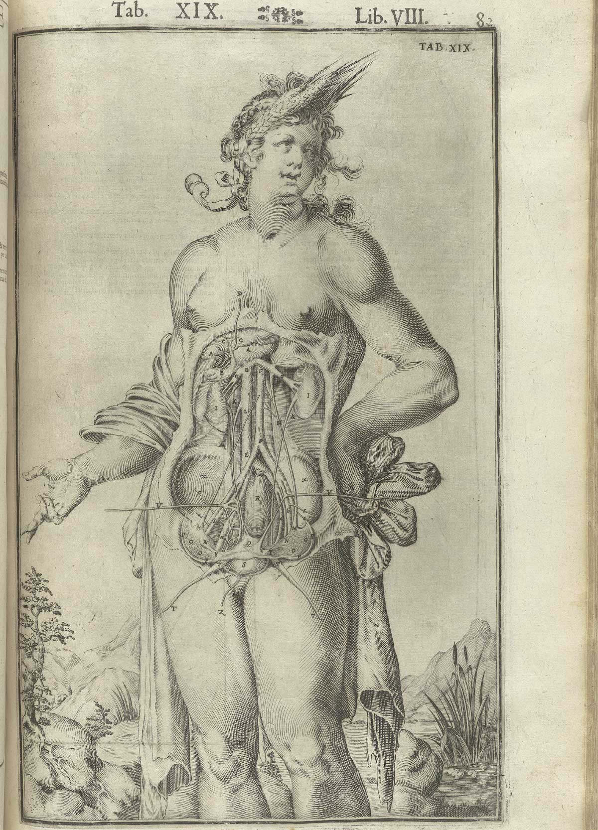 Engraving showing a facing standing nude female anatomical figure in a pastoral setting with an open torso and abdomen exposing the urological and reproductive systems including kidneys, ureters, uterus, ovaries, bladder and associated circulatory system; the woman is wearing a set of pointed laurels on her head which give a pointy look to her head; from Adriaan van de Spiegel and Giulio Cassieri’s De humani corporis fabrica libri decem, Venice, 1627, NLM call no. WZ 250 S755dh 1627.