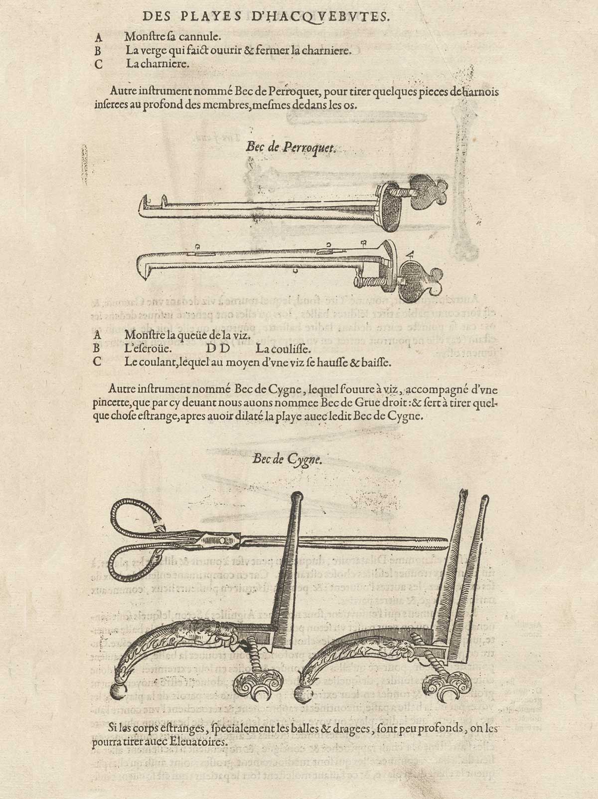 Page CCCCXXXV which features surgeon's tools made like a parakeet bill (Bec de Perroquet) and a swan's bill (Bec de Cygne)
