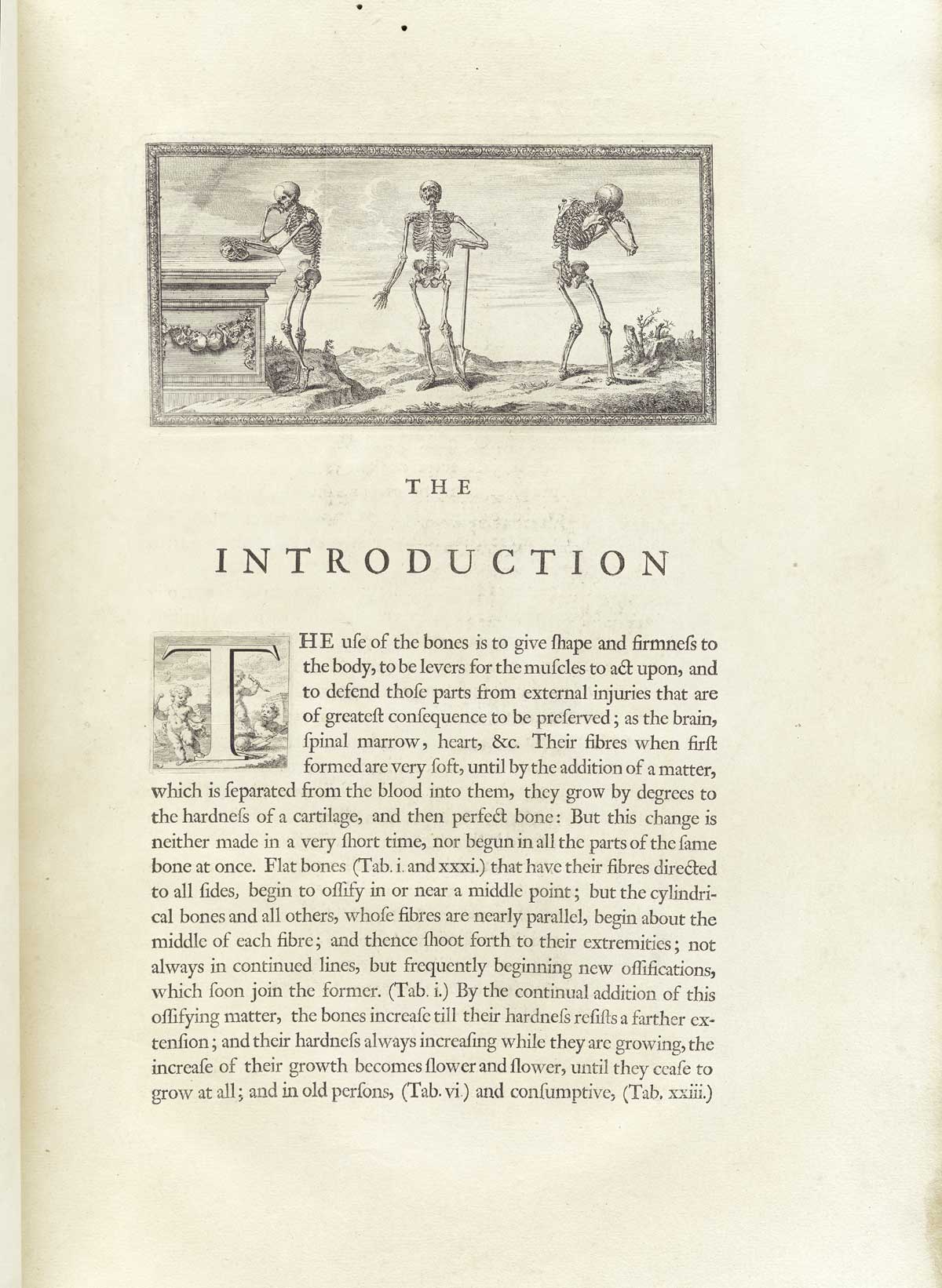 Typeset page of text with large engraved vignette at the top of the page showing three standing skeletons in classical poses: the one on the left contemplates a skull on a classical stone pediment; the middle one facing the viewer with a grim open mouth, leaning on a staff with his left hand; the third on the right is hunched over facing the right as if weeping with his face away from the viewer, mostly showing the rear view; from William Cheselden’s Osteographia, NLM Call no.: WZ 260 C499o 1733.