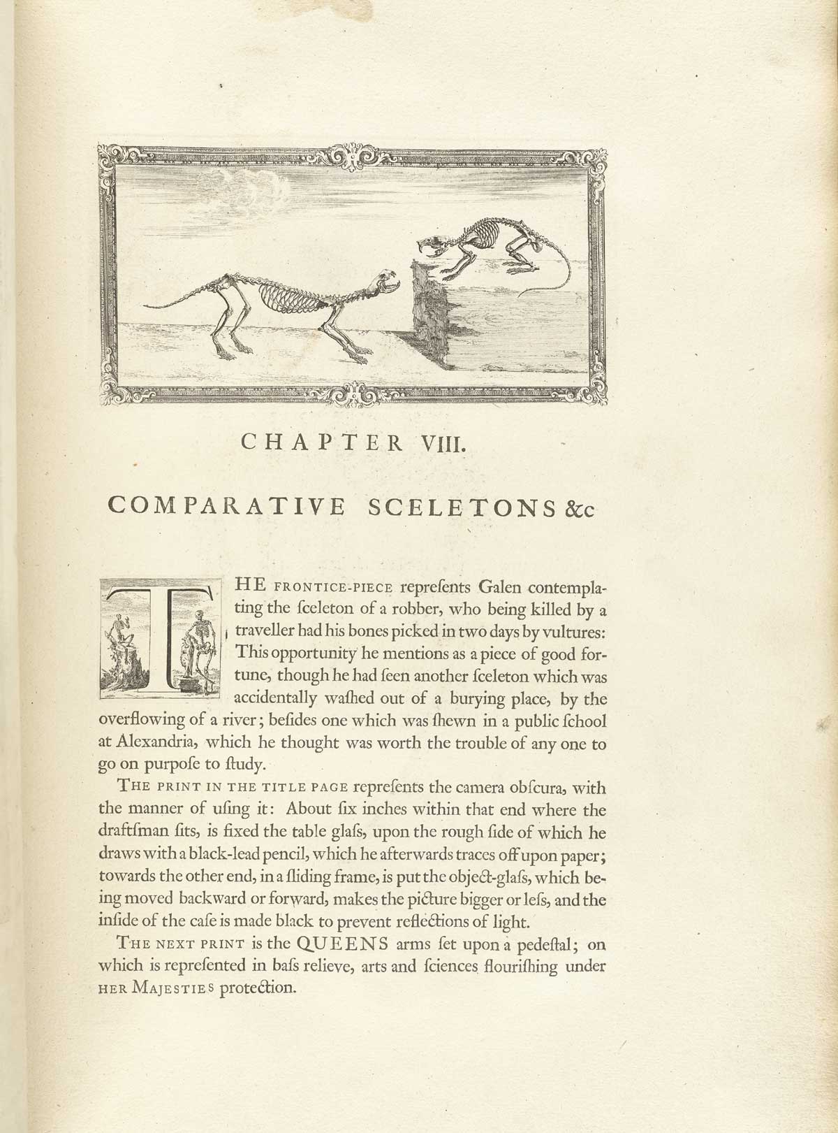 Typeset page of text with large engraved vignette at the top of the page showing the skeletons of a weasel and a rat facing each other and hissing, with the weasel on the left on the ground and the rat on the right on a large wodden plank, from William Cheselden’s Osteographia, NLM Call no.: WZ 260 C499o 1733.
