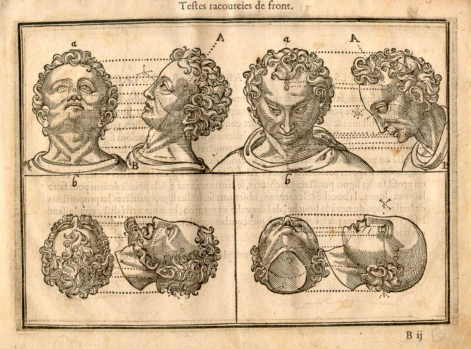 Woodcut illustration showing eight male heads from different positions: from the upper left, a head facing forward but looking upwards, a head facing to the left but looking upwards, a head facing forward but looking downwards, a head facing left but looking downwards; on the lower half of the page, a head viewed from above, a head viewed in profile but looking to the top of the page, a head viewed from below, and a bald head looking upwards to the top of the page, from Jehan Cousin’s Livre de pourtraiture, NLM Call no.: WZ 250 C8673L 1608.