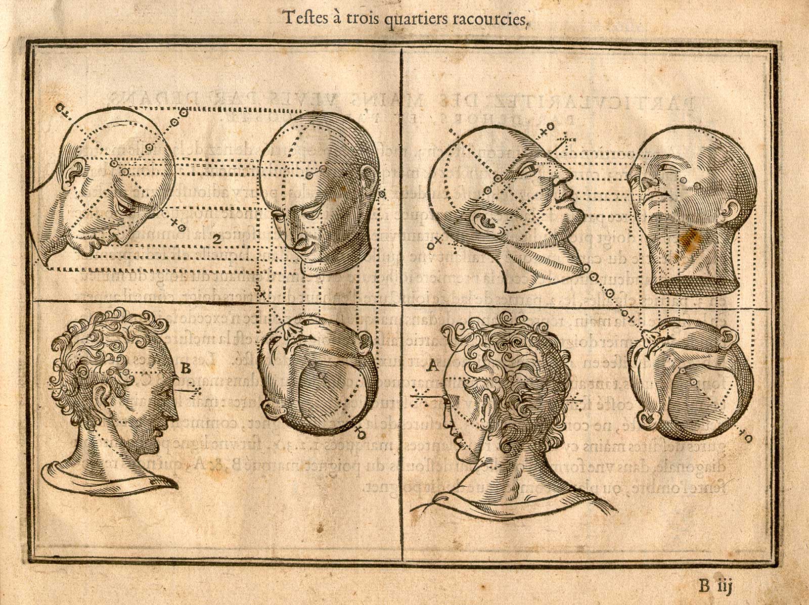 Woodcut illustration showing eight male heads from different positions: from the upper left, a bald head looking to the right viewed in profile looking downward, a bald head looking to the left viewed from slightly above, a bald head viewed in profile looking upward, a bald head viewed from the front looking upward and to the left; on the lower half of the page, a male head with hair looking to the right and mostly viewed from behind, a head viewed from below looking up and to the left, a head with hair looking to the left but mostly viewed from behind, and a head viewed from below looking up and to the left, from Jehan Cousin’s Livre de pourtraiture, NLM Call no.: WZ 250 C8673L 1608.