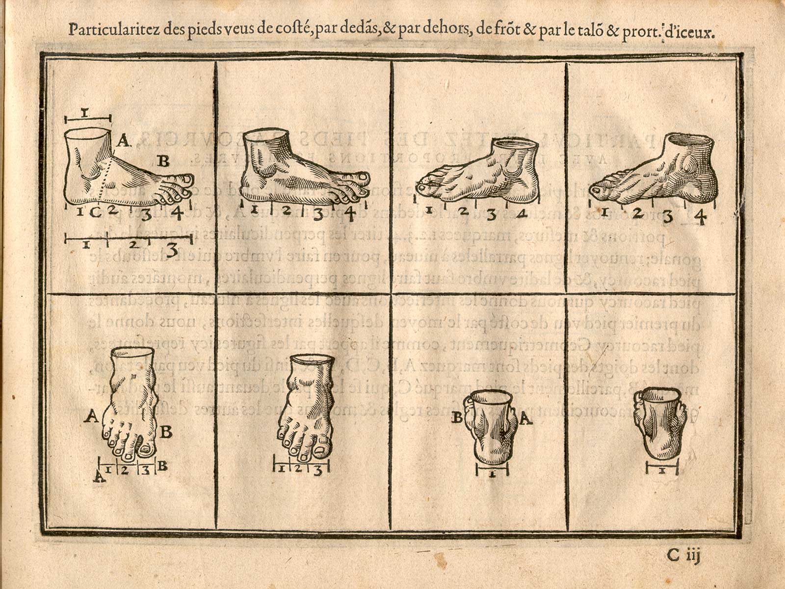 Woodcut illustration of eight feet, mainly flat, viewed from different angles, including the top, the back of the foot, and several different side views, from Jehan Cousin’s Livre de pourtraiture, NLM Call no.: WZ 250 C8673L 1608.