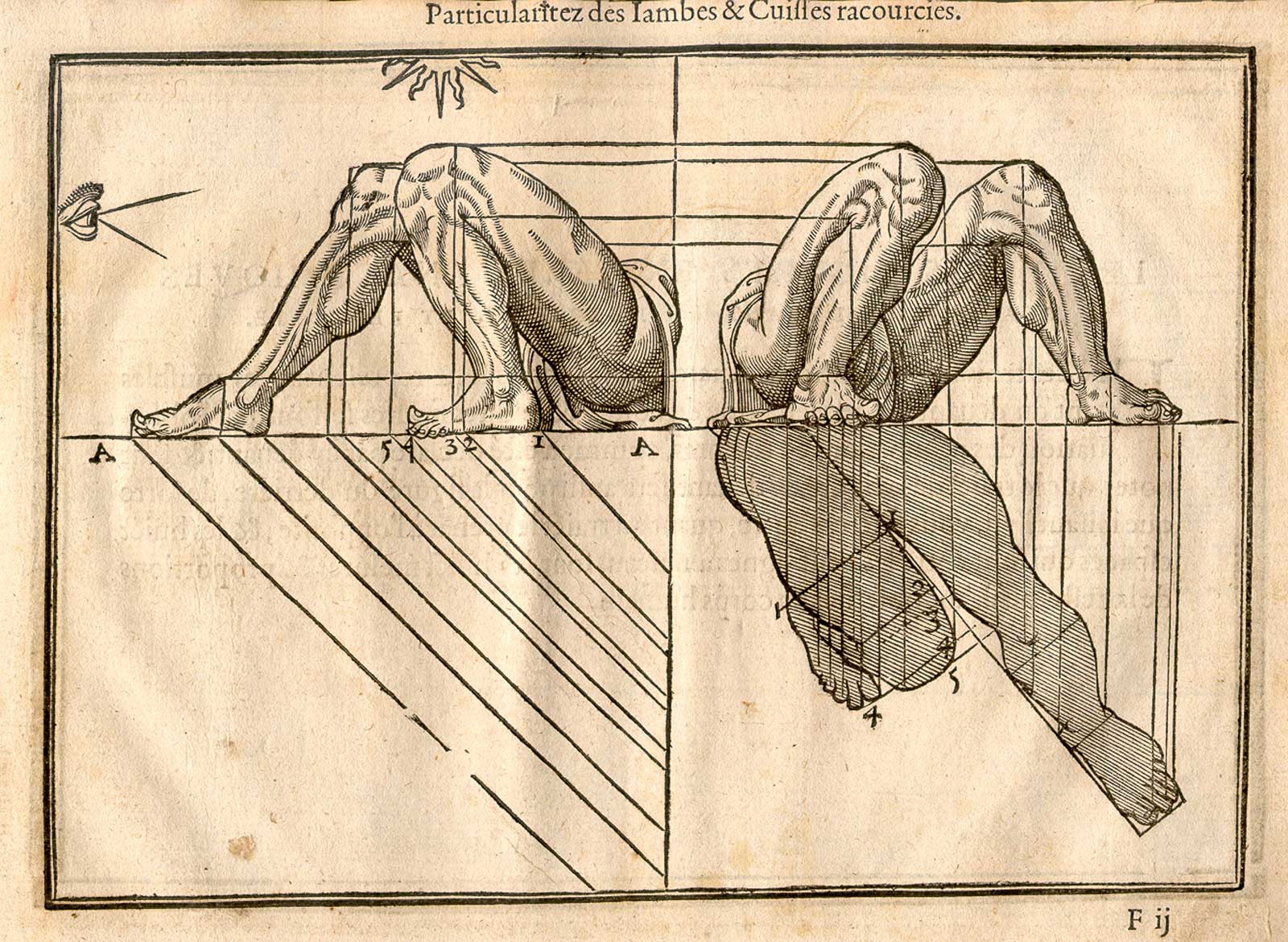 Woodcut illustration of three images of the musculature of the legs with bent knees viewed from the sides, with measured proportions of each shown, from Jehan Cousin’s Livre de pourtraiture, NLM Call no.: WZ 250 C8673L 1608.