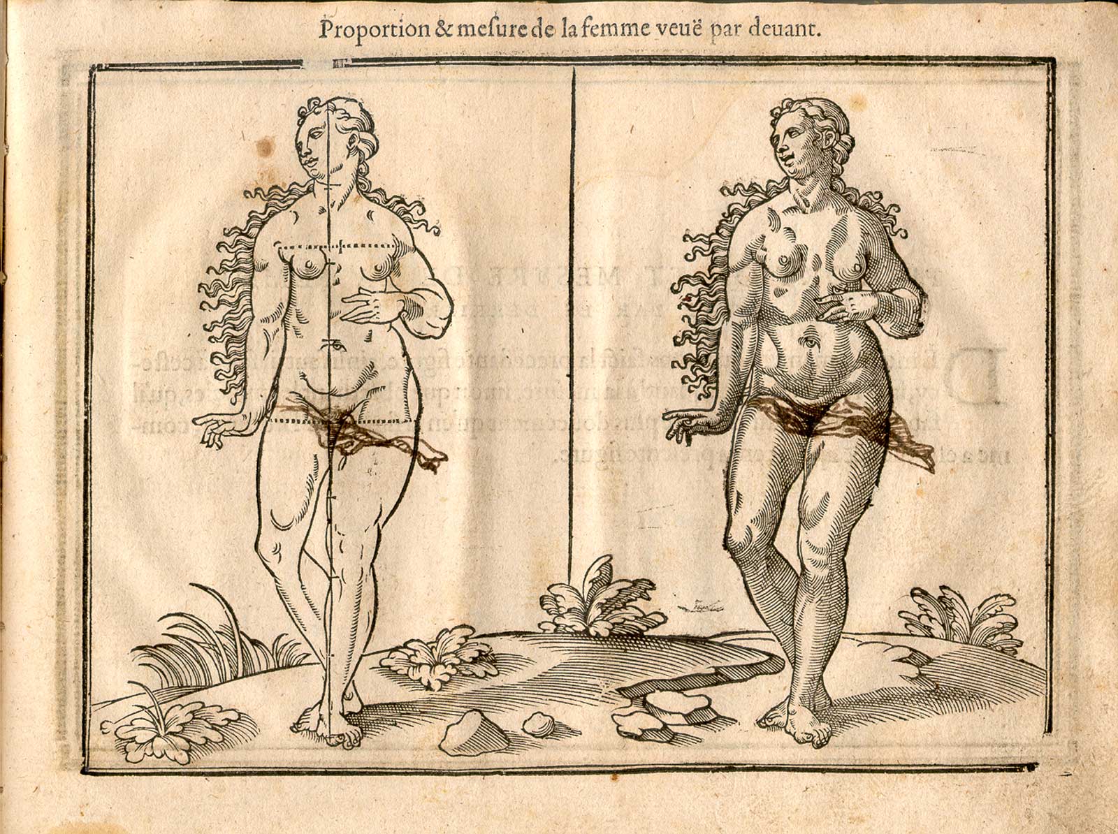 Woodcut illustration of two nude female facing anatomical figures, both images in identical poses facing slightly to the left in a pastoral setting, with the left hand image showing the proportions of the figure measured out, from Jehan Cousin’s Livre de pourtraiture, NLM Call no.: WZ 250 C8673L 1608.