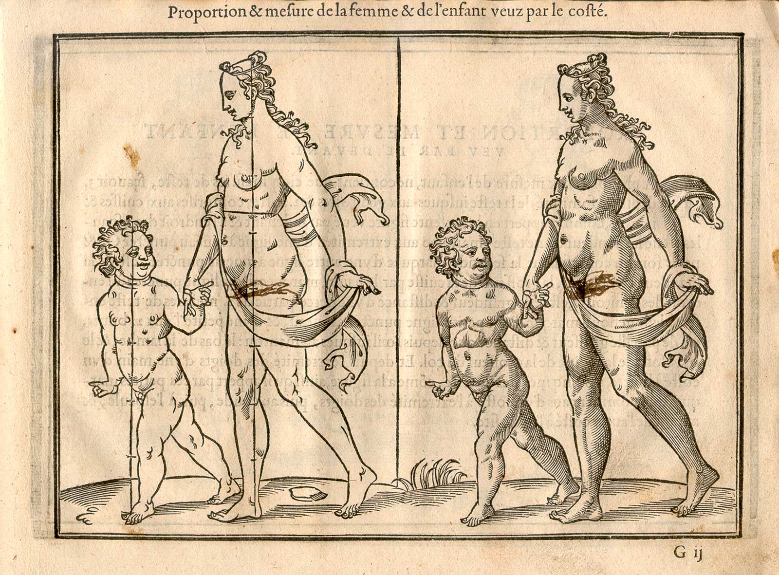 Proportion and measures of female and child figures viewed from the side, from Jehan Cousin’s Livre de pourtraiture, NLM Call no.: WZ 250 C8673L 1608.