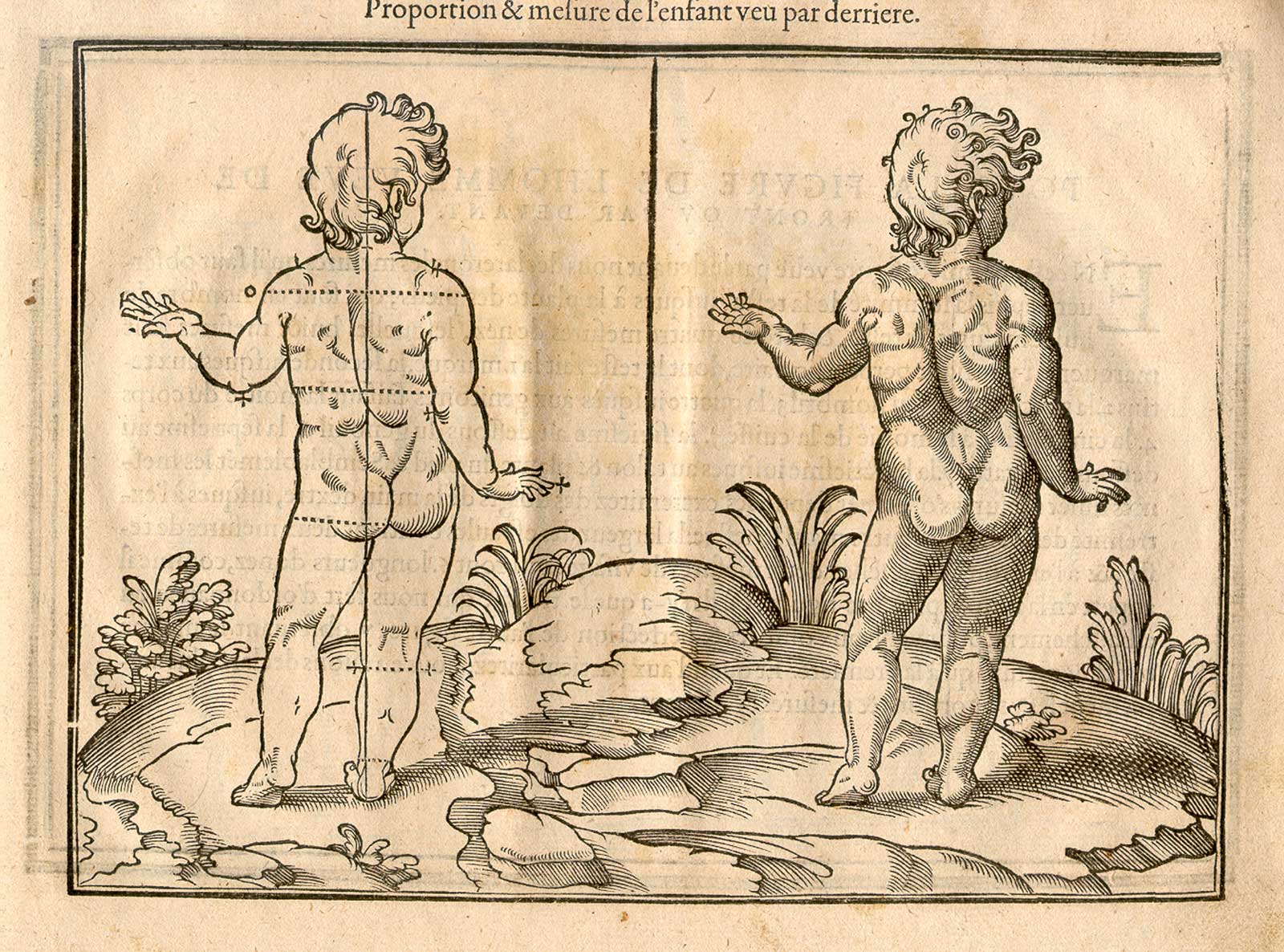 Woodcut illustration of two nude male child anatomical figures viewed from behind, both images in identical poses facing slightly to the left in a pastoral setting, with the left hand image showing the proportions of the figure measured out, from Jehan Cousin’s Livre de pourtraiture, NLM Call no.: WZ 250 C8673L 1608.