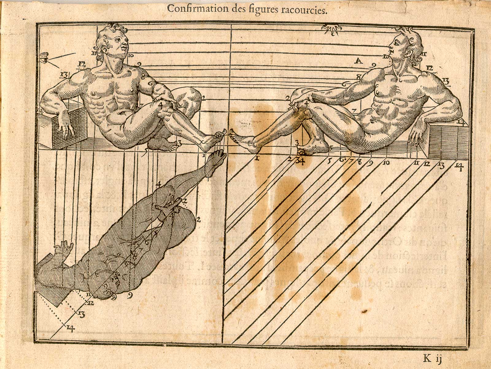 Woodcut illustration of two nude male anatomical figures reclining on small pediments, viewed from the sides, both images in identical poses facing each other with left hands uplifted with hands open, both images showing the proportions of the figure measured out, from Jehan Cousin’s Livre de pourtraiture, NLM Call no.: WZ 250 C8673L 1608.