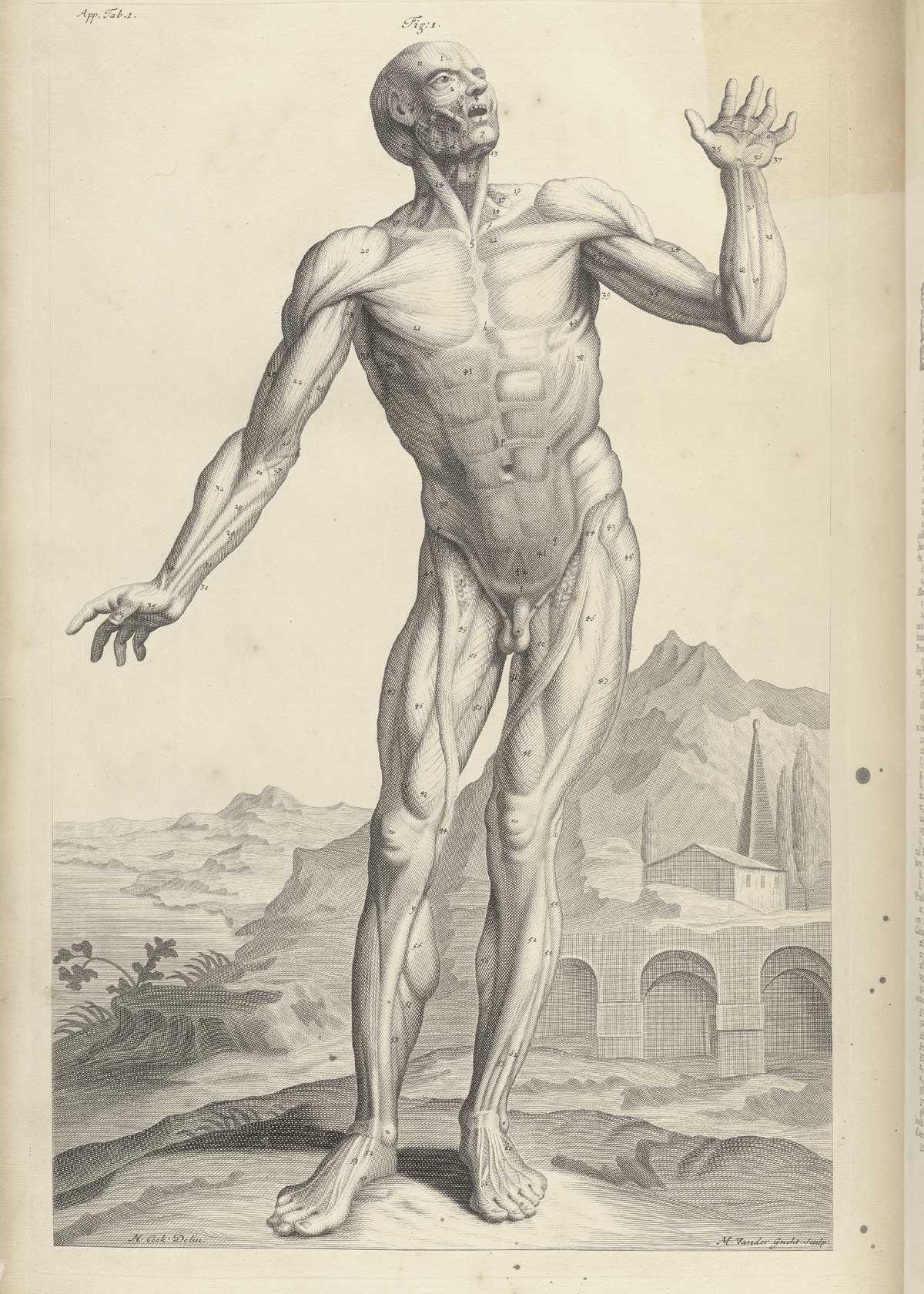 Engraving of a nude male facing anatomical figure showing the musculature of the whole front of the body from neck and chest to arms and legs, with right hand outstretched to the side and left hand upraised, in a pastoral setting with classical ruins and a farmhouse in the background, from William Cowper’s Anatomy of the humane bodies, NLM Call no.: WZ 250 C876a 1698.