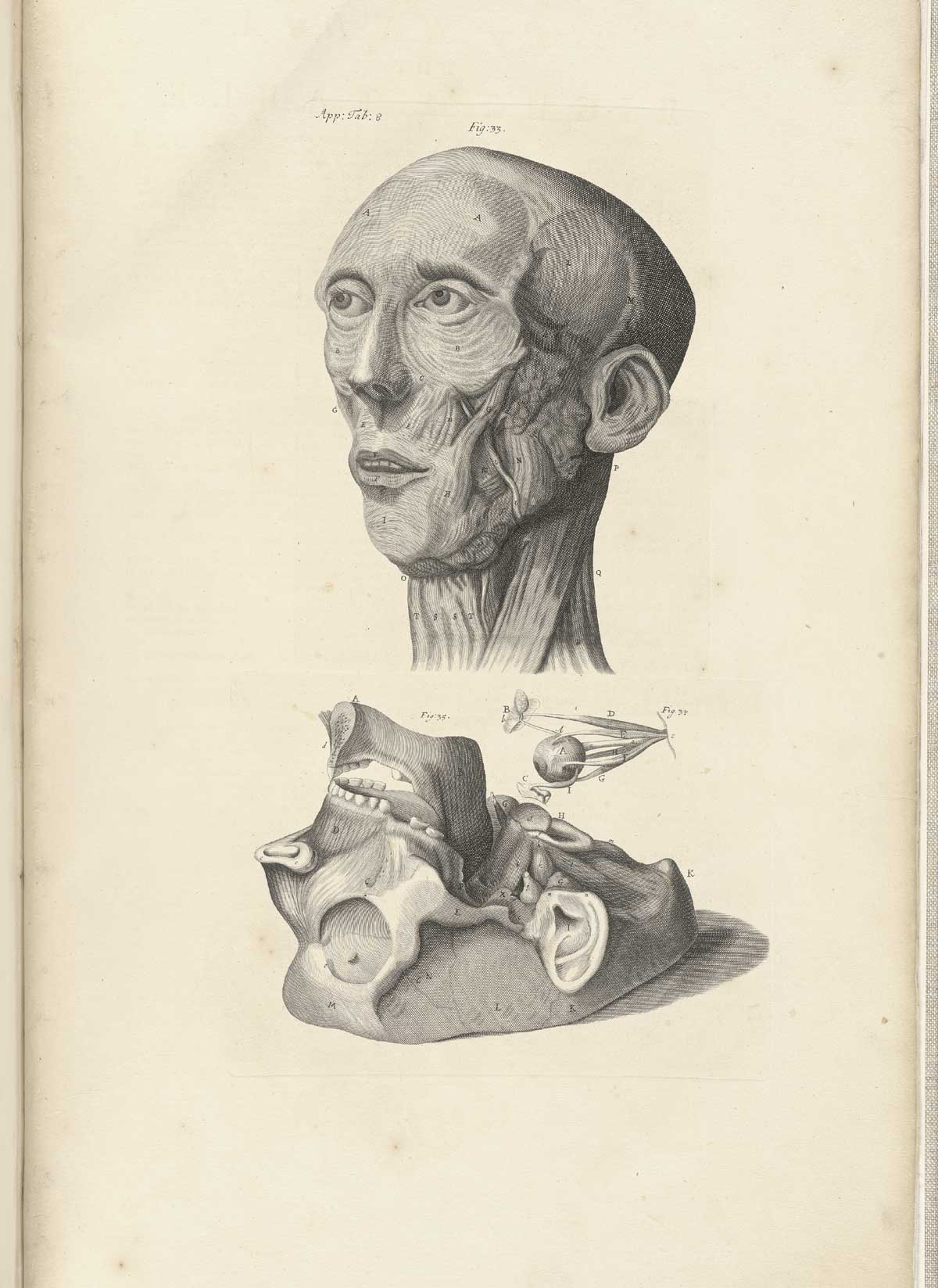 Engraving of three views of the muscles of the face; the top half of the image is of a face with the skin and flesh removed to show the face of a man looking just to the left; at bottom are the muscles of the bottom half of the skull shown with its base uppermost, showing the bones and muscles of the jaw and the first vertebra as it attaches to the base of the skull; in the middle is a figure of the eyeball with its muscles and optic nerve extending from the sides and back of the organ; from William Cowper’s Anatomy of the humane bodies, NLM Call no.: WZ 250 C876a 1698.