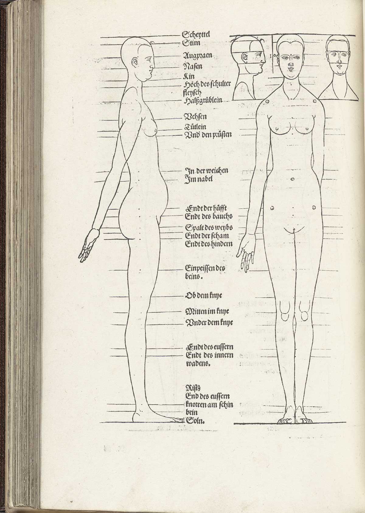Tall thin female figure, from Albrecht Dürer’s Vier Bücher von menschlicher Proportion, NLM Call no. WZ 240 D853v 1528.