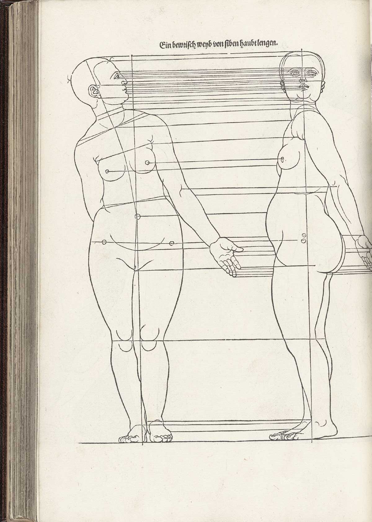 Woodcut image of two standing nude female figures bending to the left side at the waist and looking to the right, the one on the left facing the viewer and the one on the right in profile facing to the right, both with horizontal lines cutting across the figures showing proportions, for instance from the bottom of the chin to the top of the shoulder.